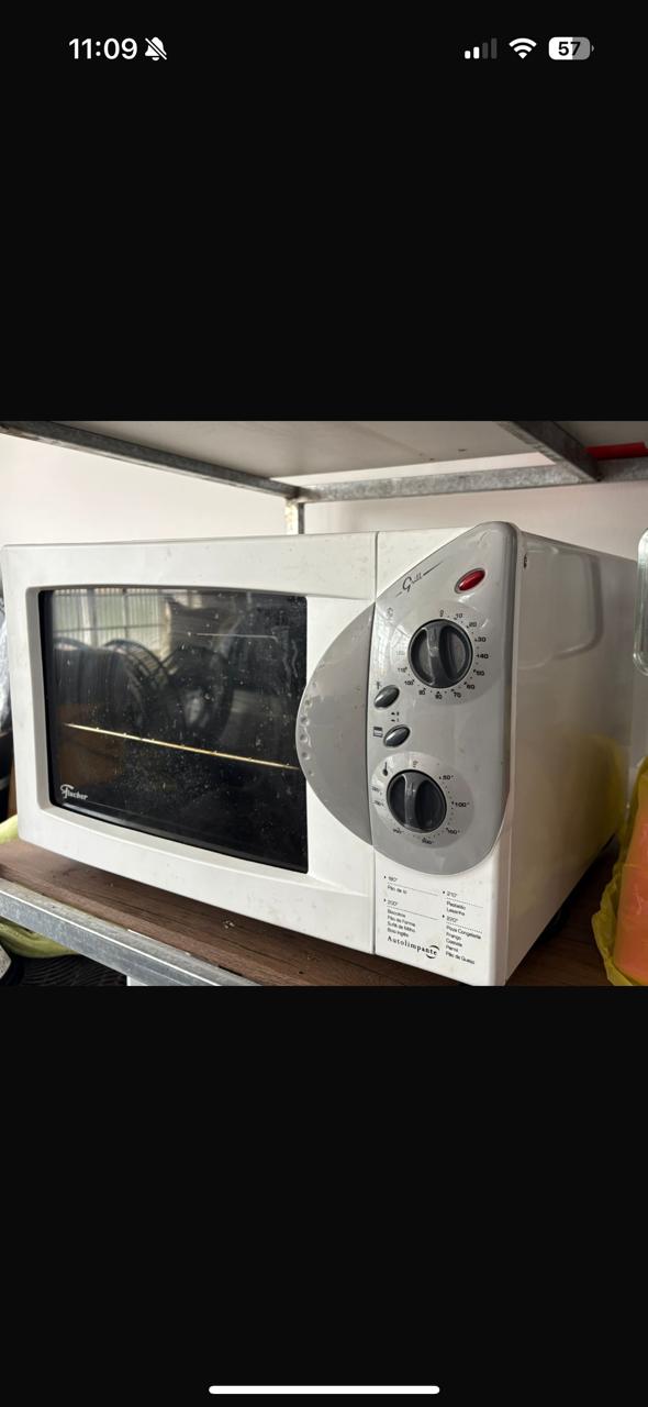 Forno elétrico Fischer em diagnóstico